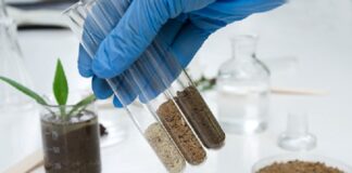 Análise do metagenoma do solo permite calcular riscos à biossegurança