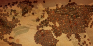 Em comemoração ao Dia Internacional do Café, Cecafé realizará atividades virtuais e em vários continentes