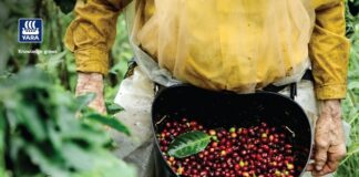 Concurso NossoCafé está com inscrições abertas até 1º de outubro