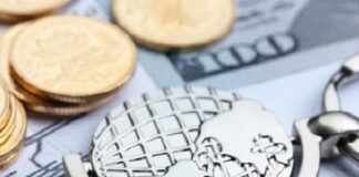 Exportações – Brasil continua em destaque no cenário internacional, com novidades