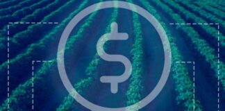 Empresa de tecnologia para o agro, sediada em Cuiabá, completa 20 anos de mercado