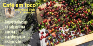 O papel do cooperativismo mineiro na produção cafeeira e manutenção de sistema de irrigação: temas em destaque