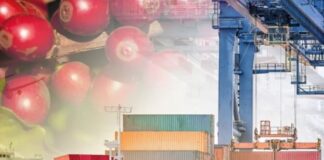 Cecafé participa de debate sobre tendências da cadeia global de abastecimento