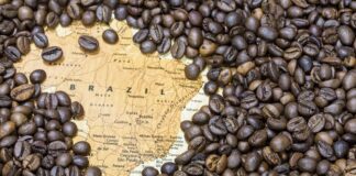 Exportações de café: queda no volume e avanço na receita