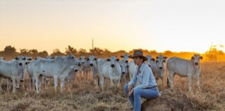 6º CNMA foi palco para pré-lançamento de documentário de Carmen Perez