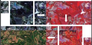 Metodologia de mapeamento automatizado de áreas de café é avaliada por Embrapa e Epamig