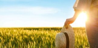 ESPECIAL – Empresas e instituições apoiam protagonismo das mulheres do agro