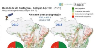 Análise de imagens de satélite entre 1985 e 2020 permite constatar queda nas áreas de pastagem degradadas em 50%