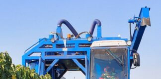 Sistema de piloto automático evita esmagamento de plantas e aumenta eficiência da colheita do café