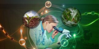 ICL América do Sul é reconhecida entre as empresas mais inovadoras do agronegócio