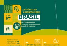 Agronegócio destaca-se entre setores para retomada da economia, garante consultoria