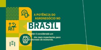 Agronegócio destaca-se entre setores para retomada da economia, garante consultoria