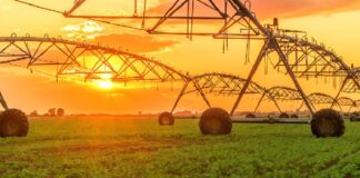 Serviço em tempo real otimiza o consumo de energia elétrica na irrigação