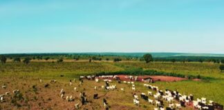 Experimento social simula o dia em que o agro parou e mostra a importância do setor