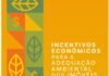 A regularização ambiental na Amazônia e os caminhos para impulsionar essa agenda: tema de publicação do IPAM