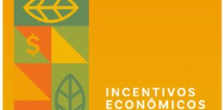 A regularização ambiental na Amazônia e os caminhos para impulsionar essa agenda: tema de publicação do IPAM