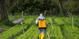 Treinamento gratuito sobre defensivos a agricultores: parceria entre Senar e Sindiveg