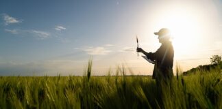 Em dois anos, mais de 10 mil usuários: balanço de solução digital de monitoramento de cultivos e aplicação de fertilizantes