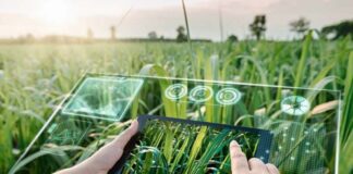 ARTIGO – Agricultura 4.0: como a tecnologia 5G e o uso de dados prometem transformar agronegócio no Brasil