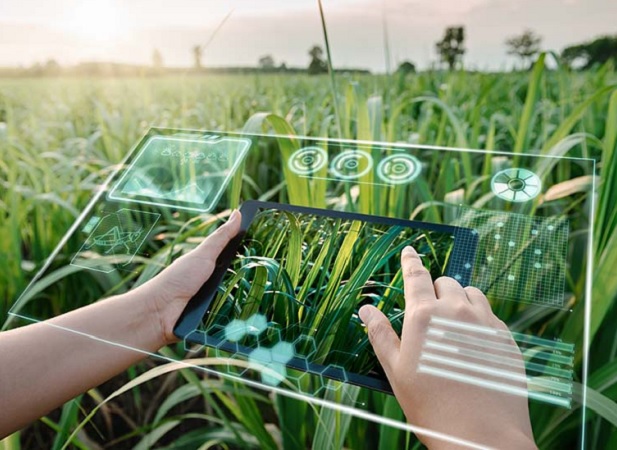 ARTIGO – Agricultura 4.0: como a tecnologia 5G e o uso de dados prometem  transformar agronegócio no Brasil | GestAgro 360º