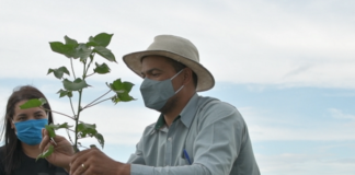 Agricultura de precisão e digital contribuem para reduzir aplicação de defensivos