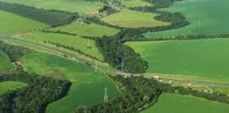 CAR: avanço nas análises e atrasos na regularização dos imóveis, sinaliza pesquisa