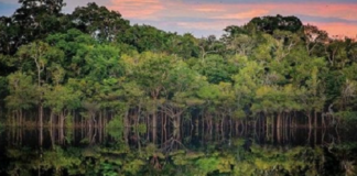 Regularização fundiária: Projeto-piloto para a Amazônia atenderá 15 mil famílias, em 1 milhão de hectares