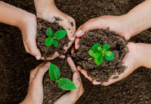 Seguro rural, agrícola e pecuário, compensa perdas em épocas de situações climáticas extremas, mas ainda tem pouca expressão