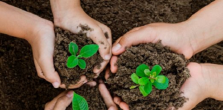 Seguro rural, agrícola e pecuário, compensa perdas em épocas de situações climáticas extremas, mas ainda tem pouca expressão