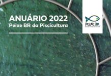 Impactada por alta dos insumos, produção brasileira de peixes de cultivo cresceu 4,7% em 2021