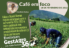 Café em foco e GestAgro 360°: um ano de parceria