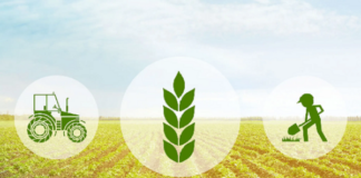 Artigo: A tecnologia e o país rural