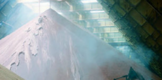 Artigo: O risco da falta de adubo: Como lidar com isso?