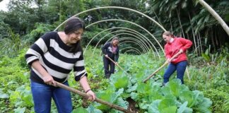Lugar de mulher é no campo, na cidade, na liderança, à frente de propriedades agropecuárias e onde mais ela desejar