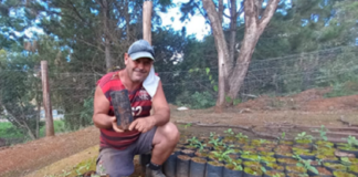 Notícias de Muzambinho: selo de inspeção municipal para agroindústria e viveiro municipal