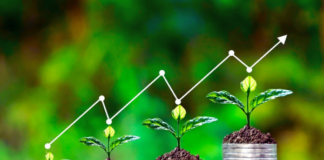 Agropecuária segue segurando o PIB brasileiro