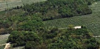 RegularizAgro – Plano nacional irá agilizar a implementação do Código Florestal em imóveis rurais