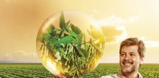 Cana e cereais: foco das tecnologias para proteção e redução de perdas na lavoura