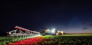 Solução de agricultura digital comemora parceria e amplia culturas atendidas