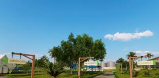 Inovações em agricultura que contribuem com a segurança alimentar, o clima e o meio ambiente: destaques de indústria química global