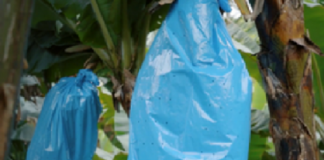 Soluções inovadoras e sustentáveis do plástico para o agronegócio agregam valor ao trabalho no campo do campo à armazenagem e infraestrutura