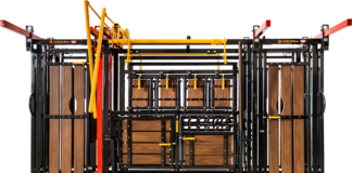 Soluções modernas em balanças, troncos de contenção para bovinos e balanças rodoviárias