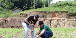 Análise genética dos micro-organismos do solo avalia capacidade de fixação de carbono e nitrogênio