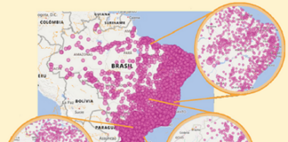 Atlas da Apicultura apresenta estatísticas do setor apícola brasileiro