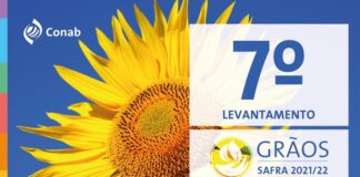 Estimativa da produção nacional de grãos nesta safra cresce, mas ainda é inferior ao desejado