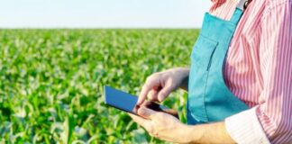 Plataforma de gestão integrada de dados para o agronegócio estreia na Agrishow