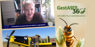 Voo em comemoração do Dia Mundial das Abelhas