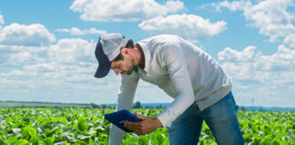 Novos Relatórios e ferramentas específicas para a cultura do algodão passam a fazer parte da plataforma digital de gerenciamento de cultivo
