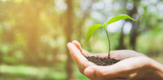 Evento mostra casos de sucesso de soluções tecnológicas e sustentáveis para o agro