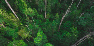 Integrar para fortalecer: tema central do 21º Congresso Brasileiro do Agronegócio, em agosto